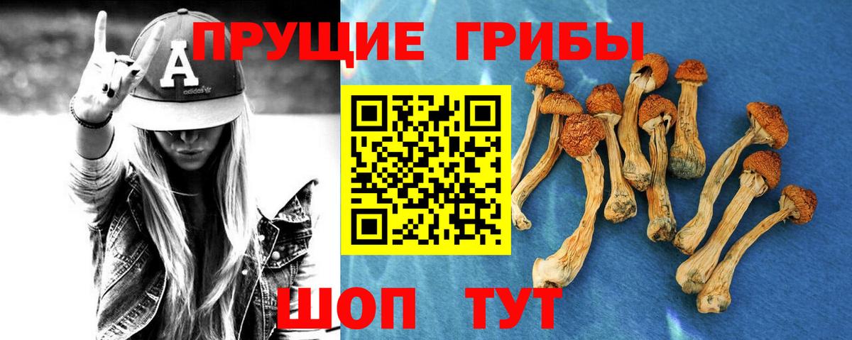 Астрахань  Псилоцибиновые грибы Psilocybe  Галлюциногенные грибы мухоморы  Вход с VPN 