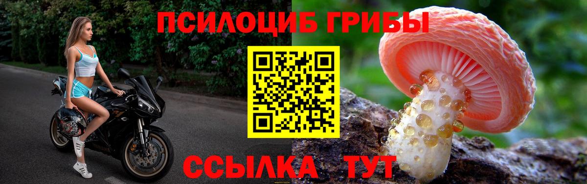 Галлюциногенные грибы Cubensis Астрахань